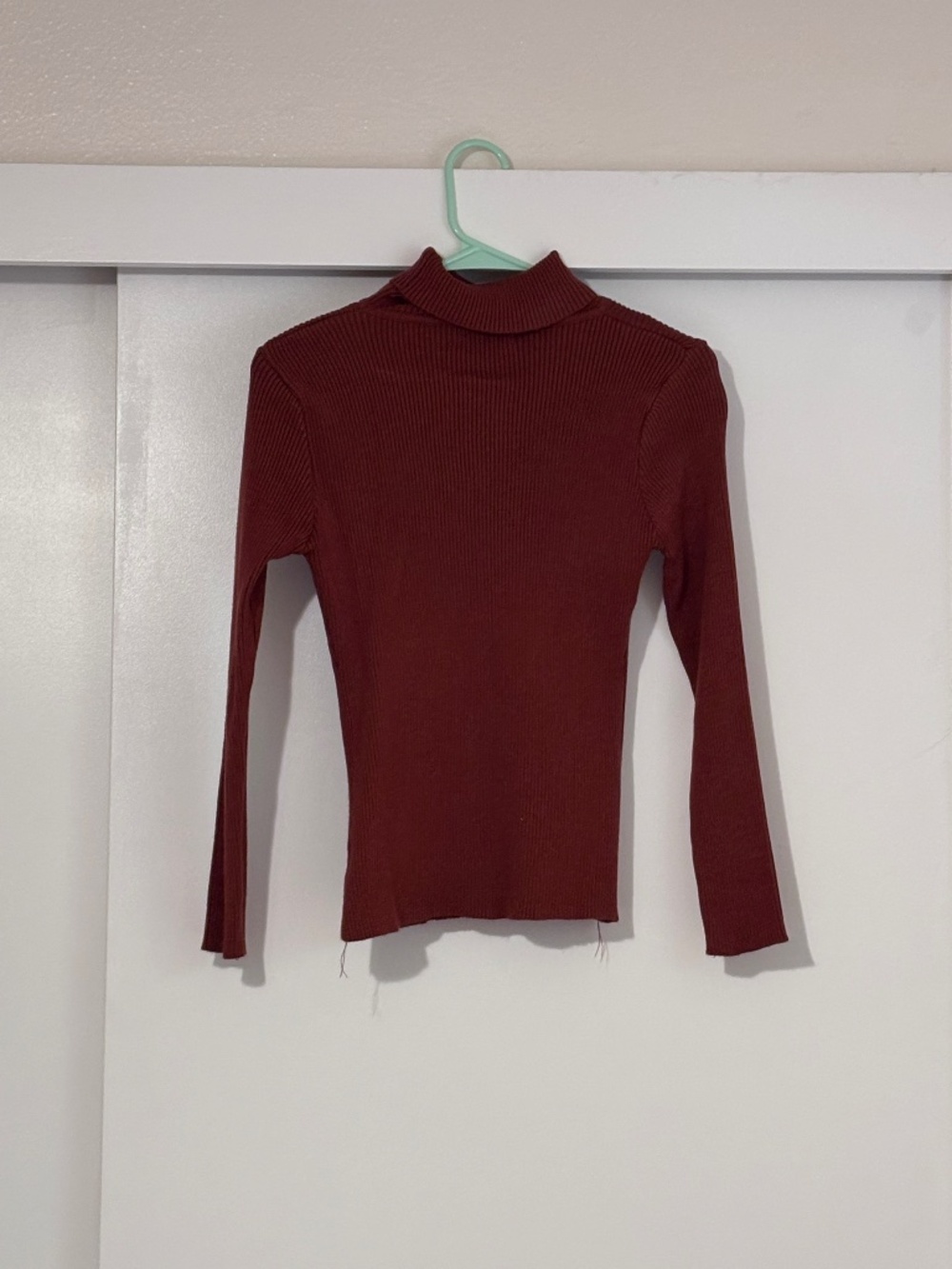 Burnt Orange Turtleneck